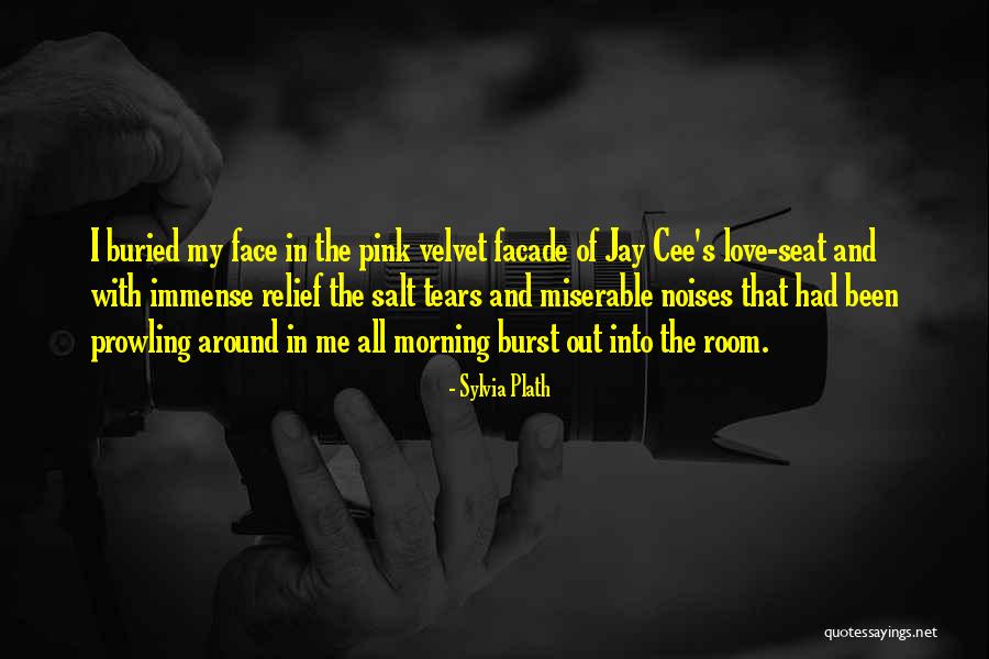 Burst Into Tears Quotes By Sylvia Plath Burst Into Tears Quotes By Sylvia Plath