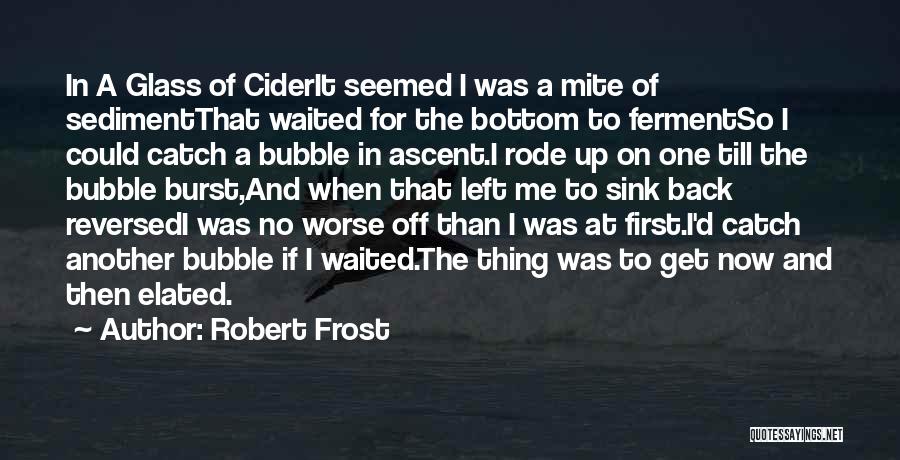 Burst My Bubble Quotes By Robert Frost