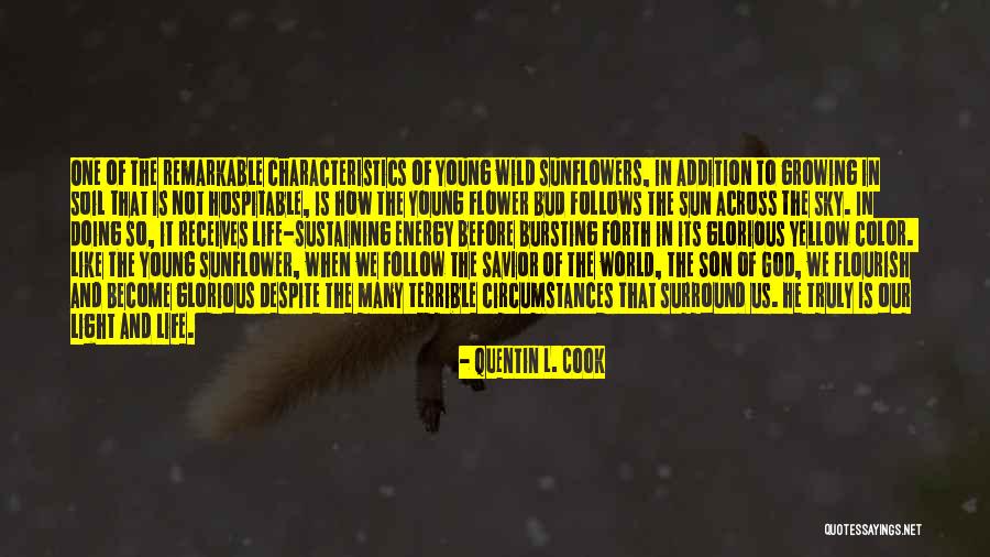 Bursting With Color Quotes By Quentin L. Cook Bursting With Color Quotes By Quentin L. Cook