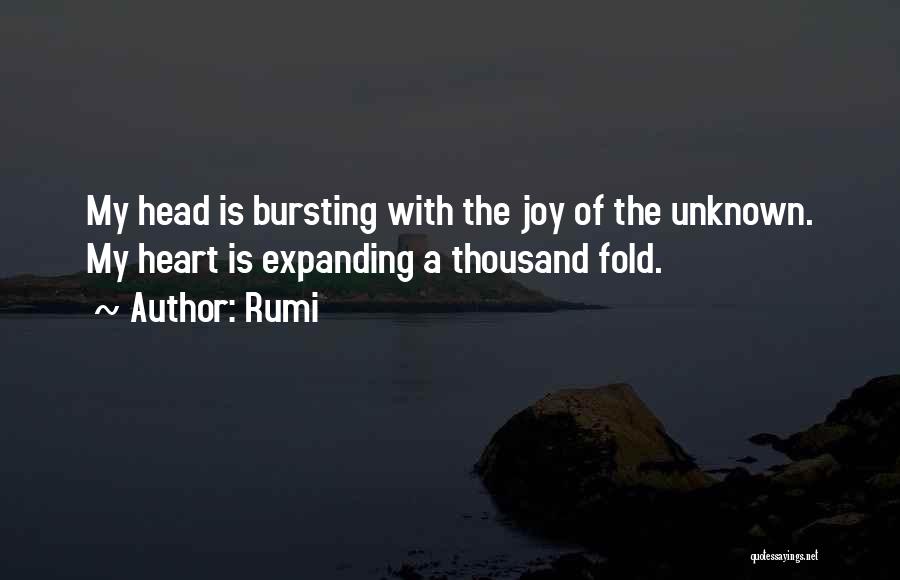 Bursting With Joy Quotes By Rumi