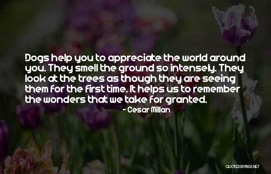 Burstyn Crossword Quotes By Cesar Millan Burstyn Crossword Quotes By Cesar Millan