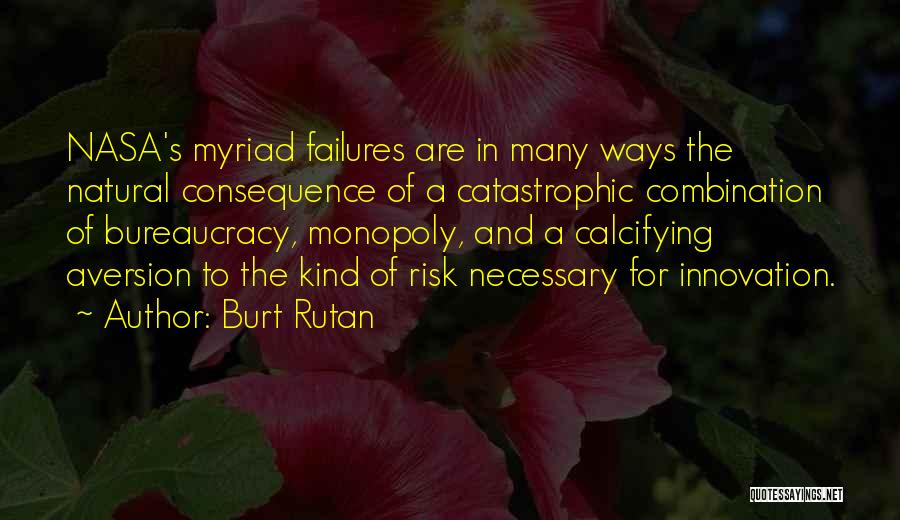 Burt Rutan Quotes 738802