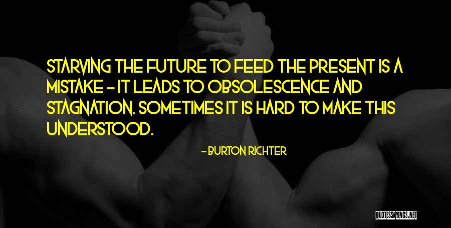 Burton Richter Quotes 466536