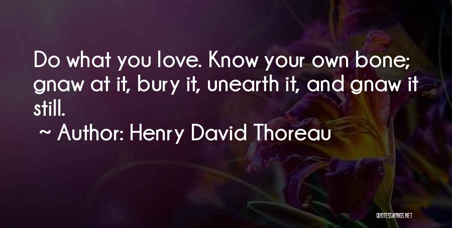 Bury Love Quotes By Henry David Thoreau