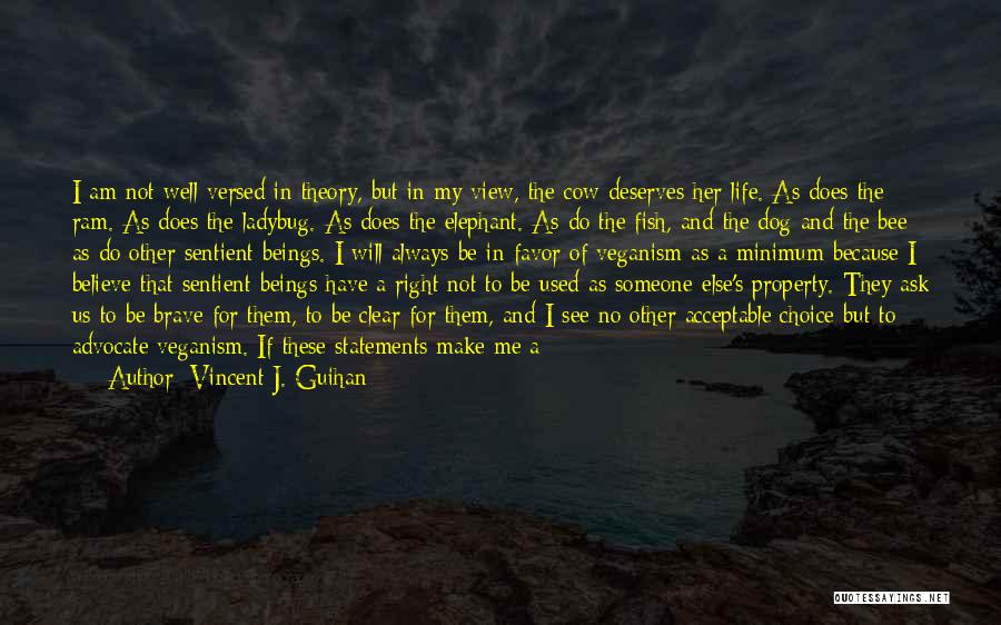 Bury Me Quotes By Vincent J. Guihan