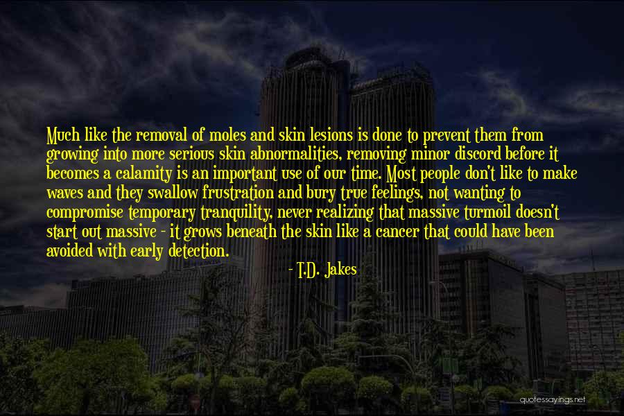 Bury Them Quotes By T.D. Jakes Bury Them Quotes By T.D. Jakes