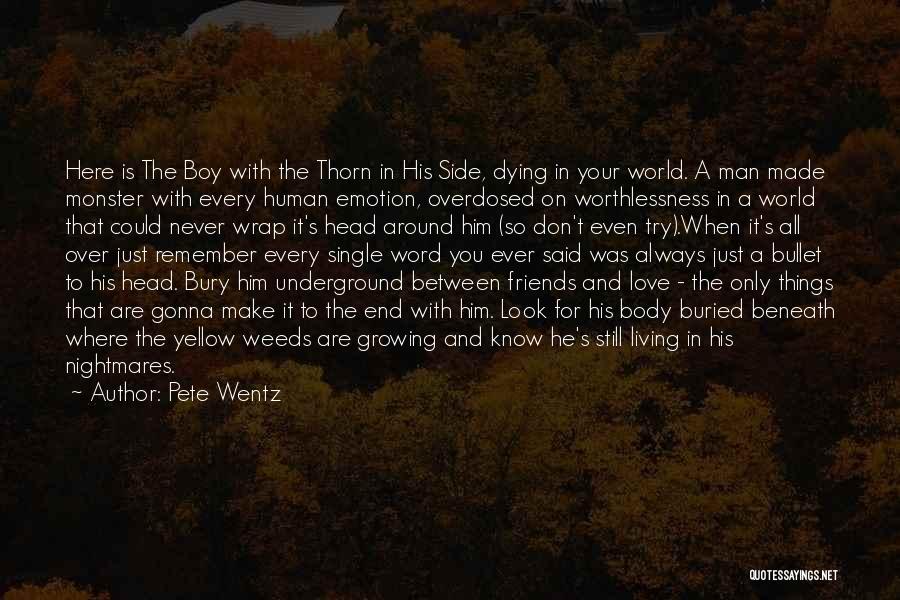 Bury Your Head Quotes By Pete Wentz