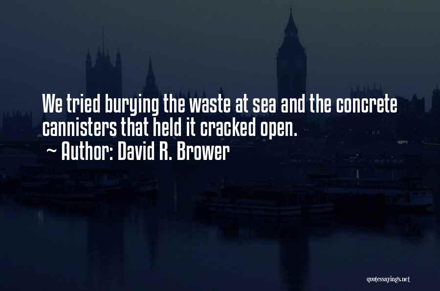 Burying Someone Quotes By David R. Brower