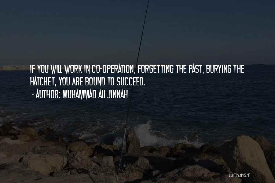 Burying The Hatchet Quotes By Muhammad Ali Jinnah