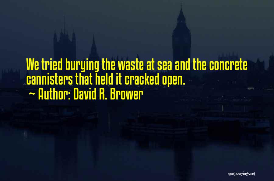 Burying The Past Quotes By David R. Brower