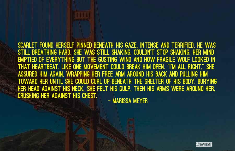 Burying Your Head Quotes By Marissa Meyer Burying Your Head Quotes By Marissa Meyer