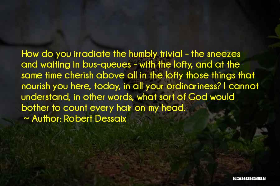 Bus Quotes By Robert Dessaix