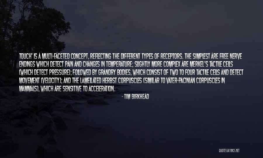 Buscarello Brooklyn Quotes By Tim Birkhead Buscarello Brooklyn Quotes By Tim Birkhead