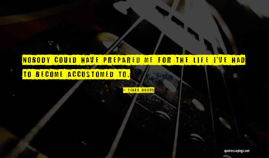 Buscarino Archtop Quotes By Tiger Woods Buscarino Archtop Quotes By Tiger Woods