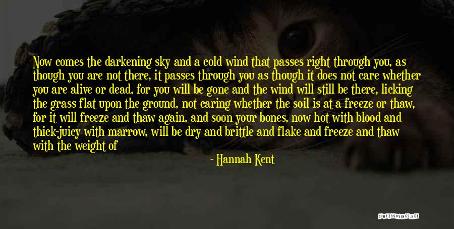Buscarte Vuelta Quotes By Hannah Kent Buscarte Vuelta Quotes By Hannah Kent