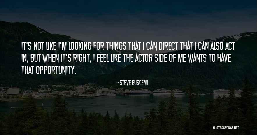 Buscemi Quotes By Steve Buscemi