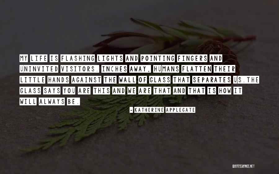 Buschkoetters Nursery Quotes By Katherine Applegate Buschkoetters Nursery Quotes By Katherine Applegate