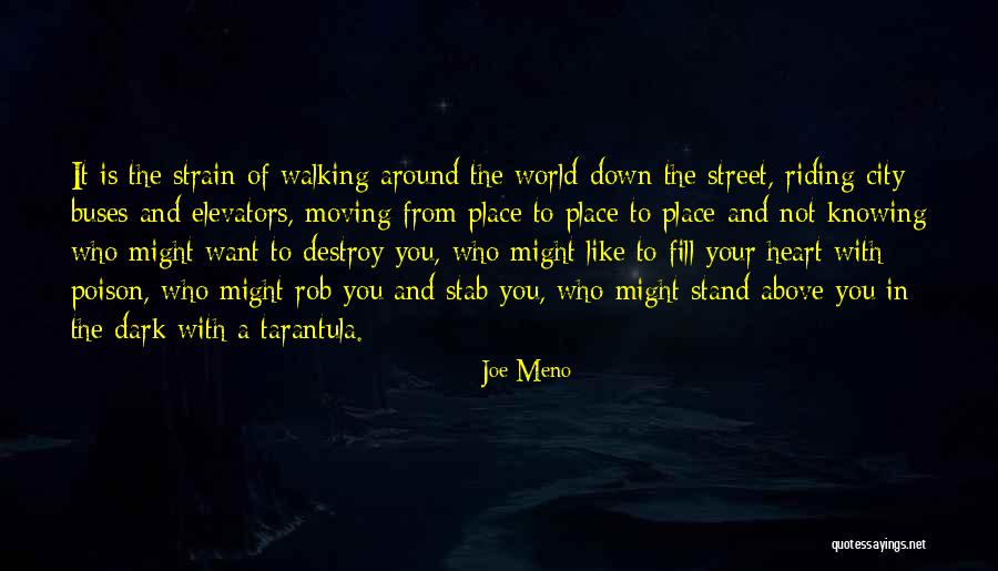 Buses Quotes By Joe Meno Buses Quotes By Joe Meno
