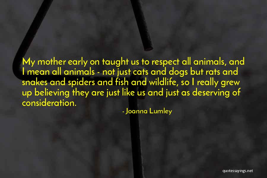 Busetti Quotes By Joanna Lumley Busetti Quotes By Joanna Lumley