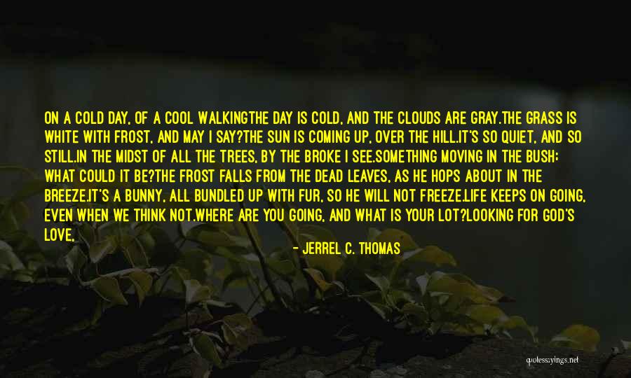 Bush Walking Quotes By Jerrel C. Thomas