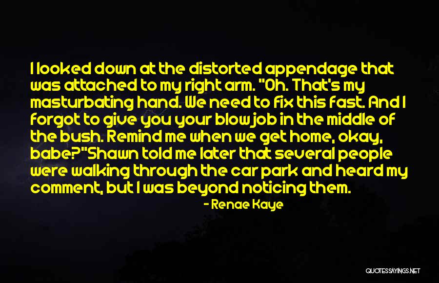Bush Walking Quotes By Renae Kaye Bush Walking Quotes By Renae Kaye