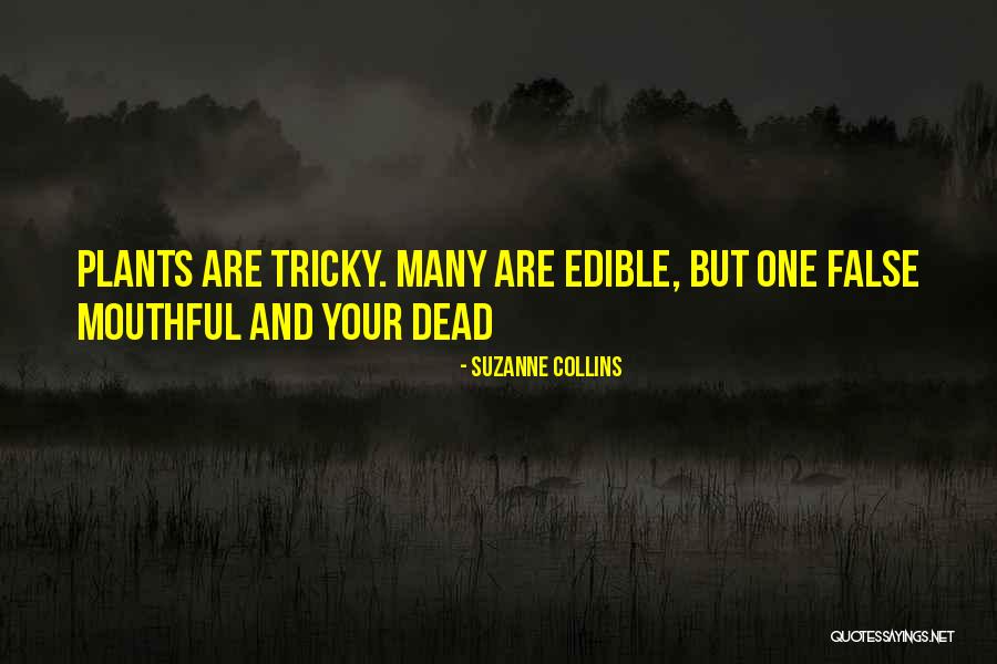 Busha Browne Quotes By Suzanne Collins Busha Browne Quotes By Suzanne Collins