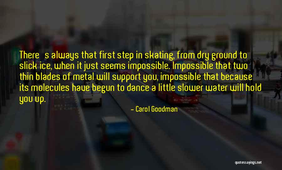 Bushari Quotes By Carol Goodman Bushari Quotes By Carol Goodman