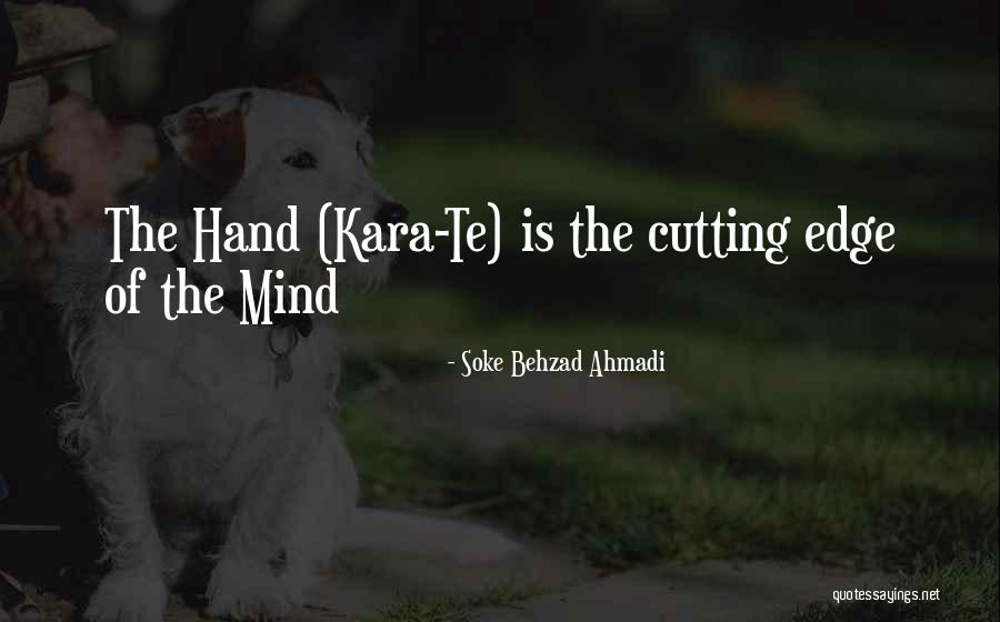 Bushido Warrior Quotes By Soke Behzad Ahmadi Bushido Warrior Quotes By Soke Behzad Ahmadi
