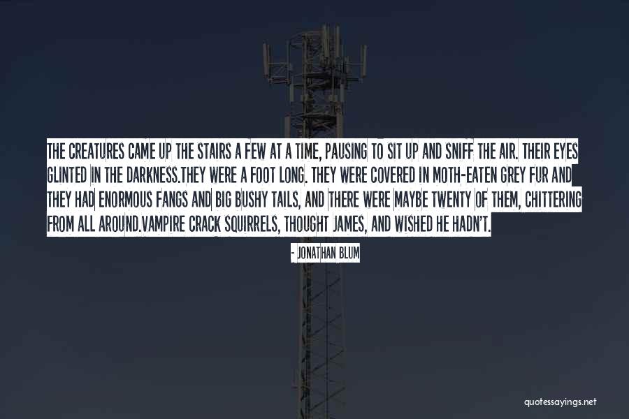 Bushy Quotes By Jonathan Blum Bushy Quotes By Jonathan Blum
