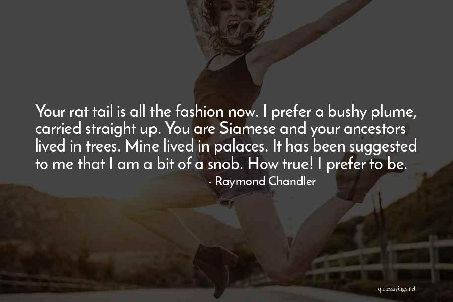 Bushy Quotes By Raymond Chandler Bushy Quotes By Raymond Chandler