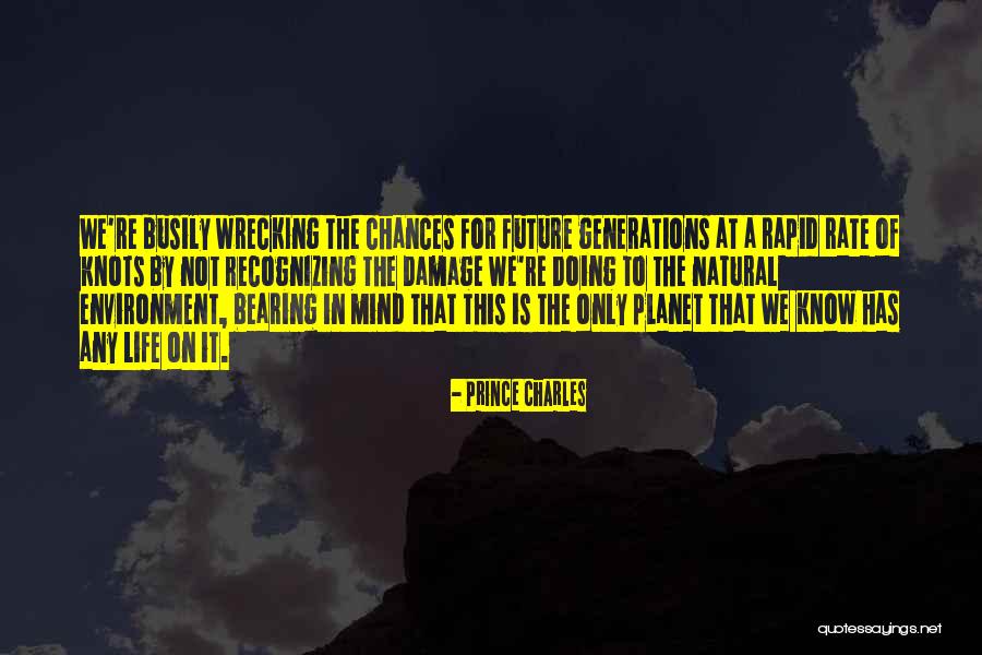 Busily Doing Nothing Quotes By Prince Charles Busily Doing Nothing Quotes By Prince Charles