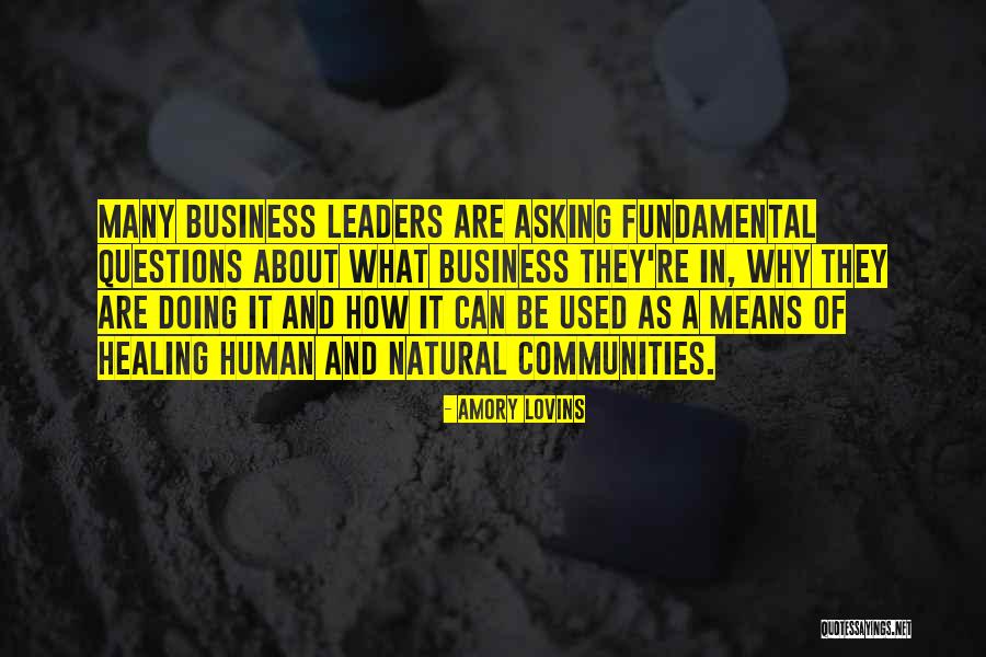 Business And Community Quotes By Amory Lovins