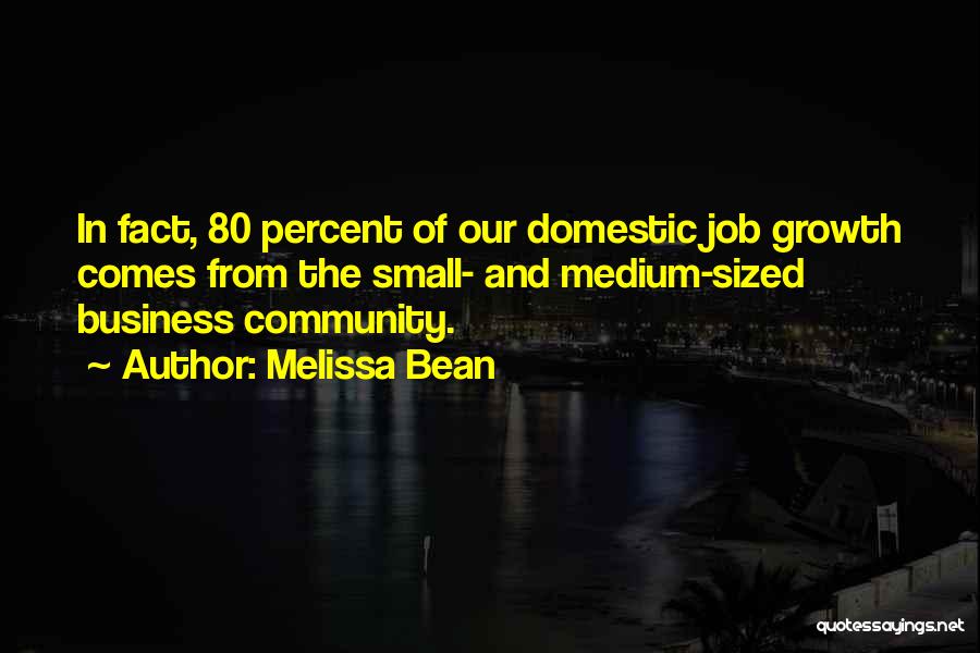 Business And Community Quotes By Melissa Bean