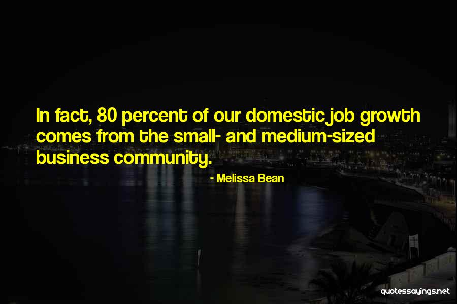 Business And Community Quotes By Melissa Bean