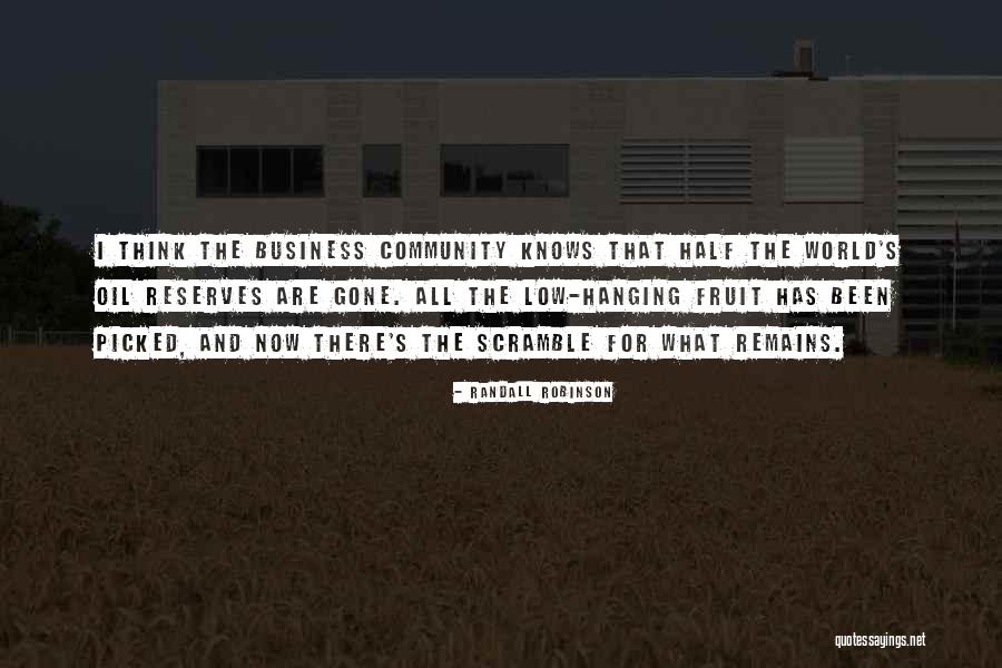 Business And Community Quotes By Randall Robinson