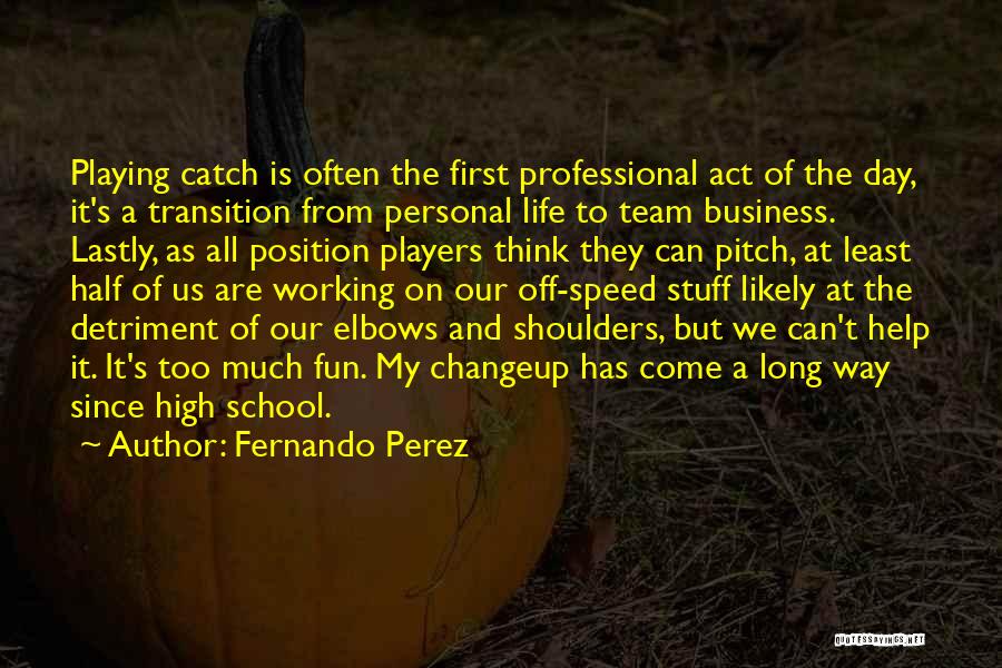 Business And Fun Quotes By Fernando Perez