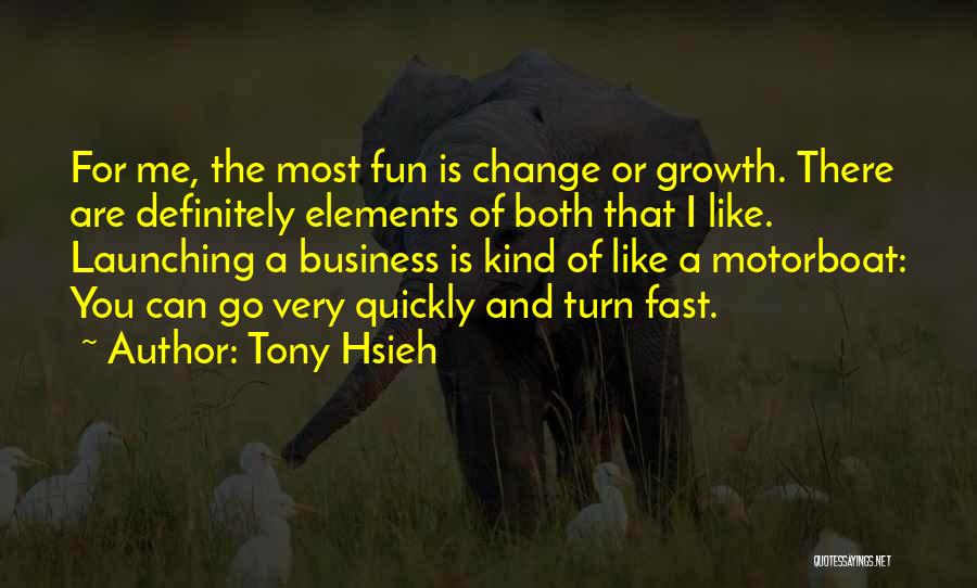 Business And Fun Quotes By Tony Hsieh