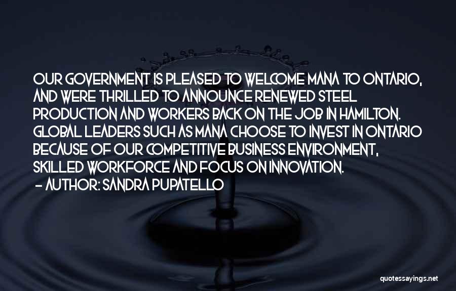 Business And Innovation Quotes By Sandra Pupatello