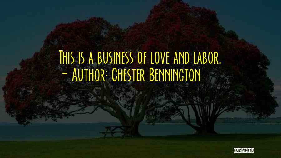 Business And Love Quotes By Chester Bennington