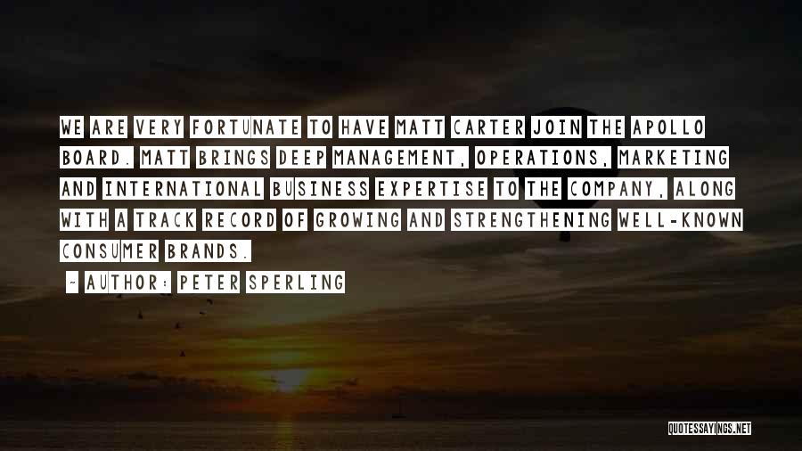 Business And Management Quotes By Peter Sperling