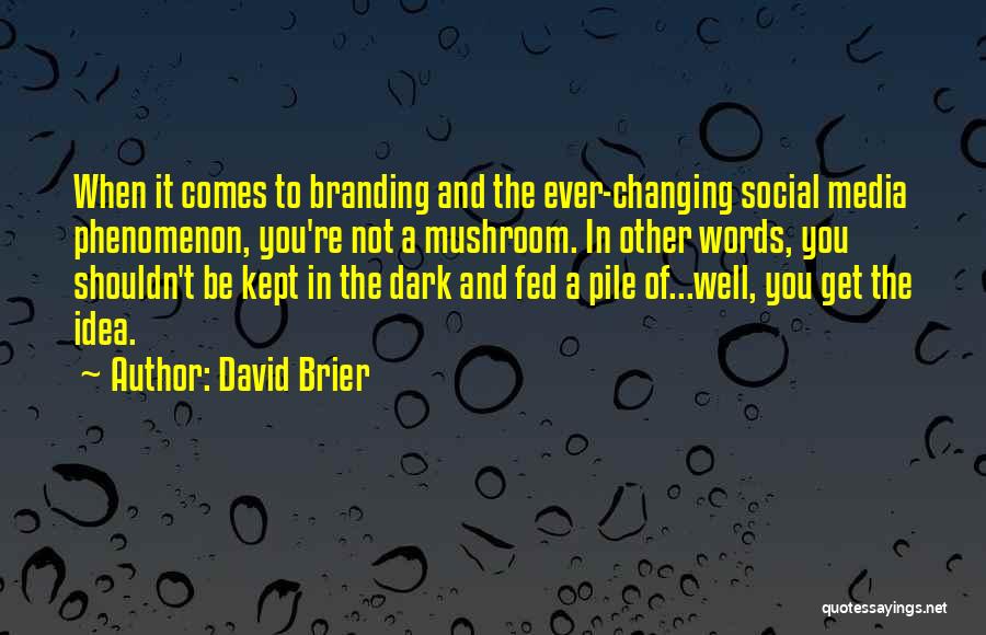 Business And Marketing Quotes By David Brier