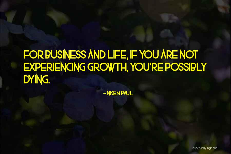 Business And Personal Life Quotes By Nkem Paul