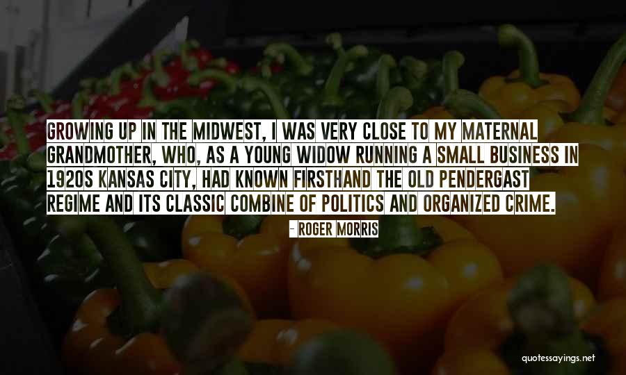 Business And Politics Quotes By Roger Morris Business And Politics Quotes By Roger Morris