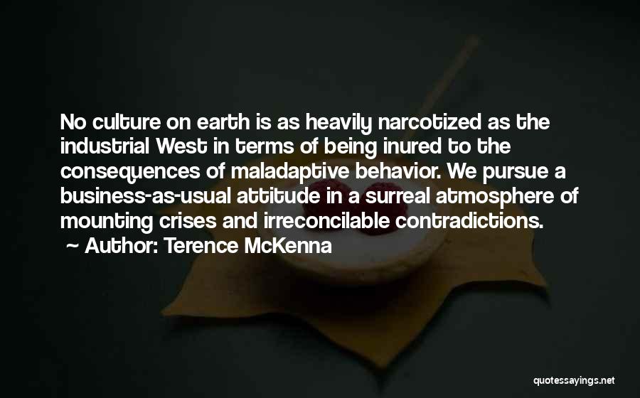 Business As Usual Quotes By Terence McKenna