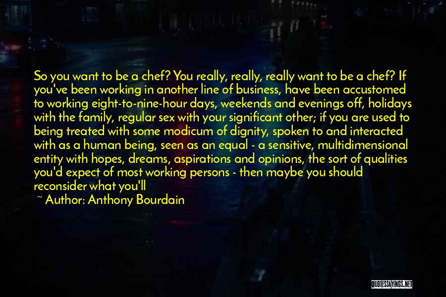 Business Aspirations Quotes By Anthony Bourdain
