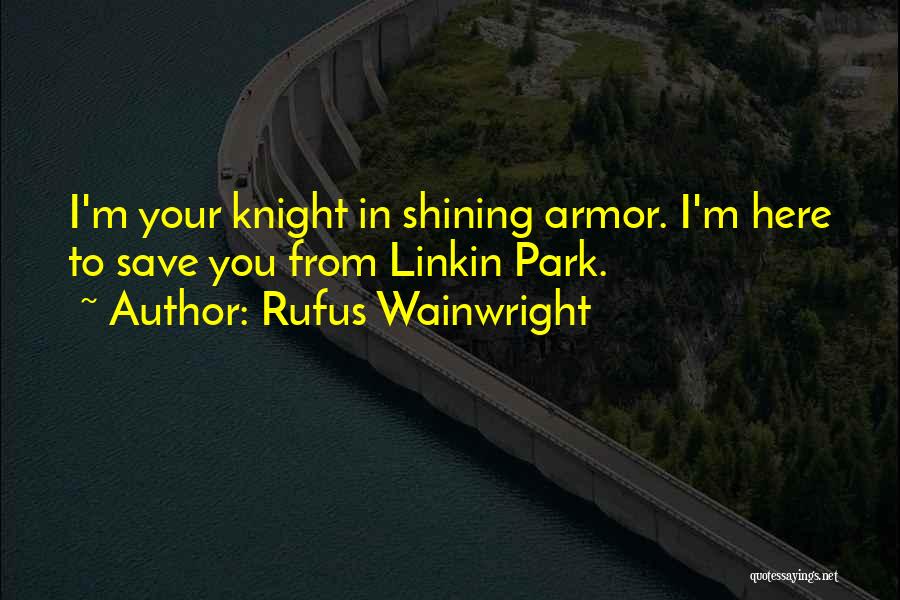 Business Capability Quotes By Rufus Wainwright