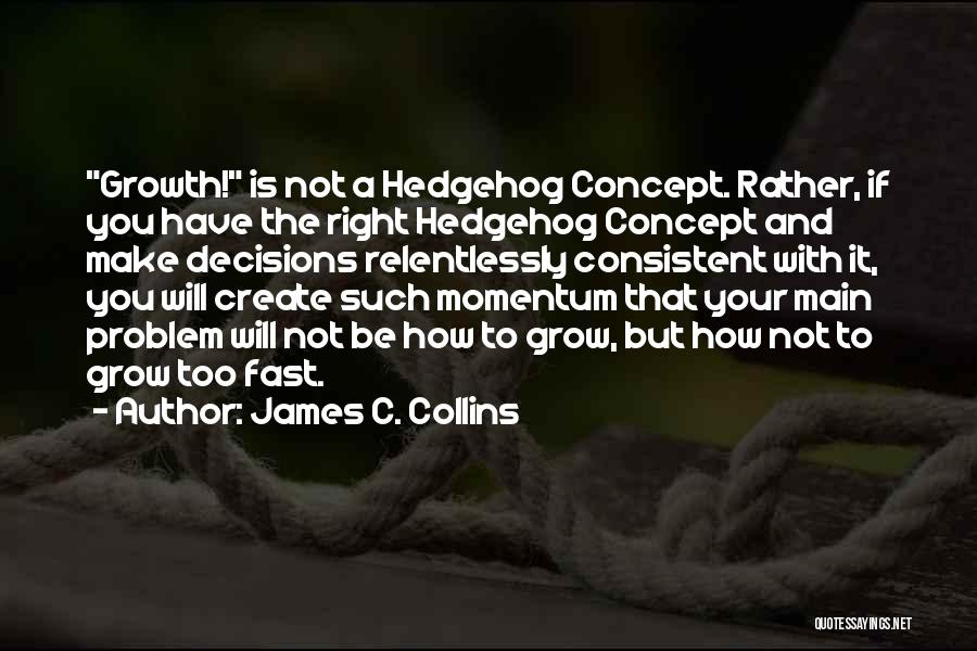 Business Concept Quotes By James C. Collins