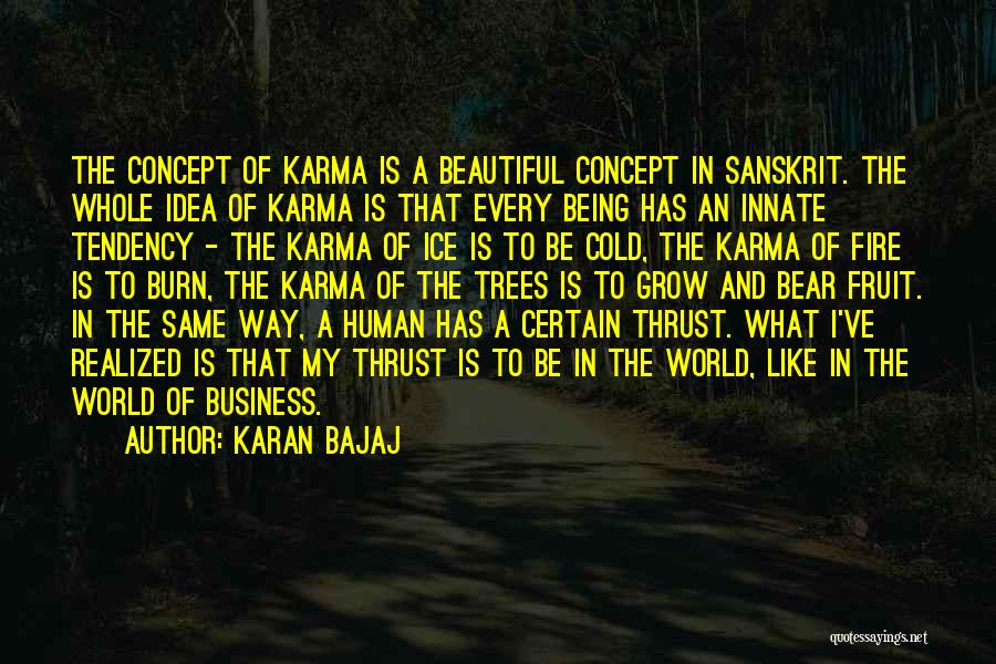 Business Concept Quotes By Karan Bajaj