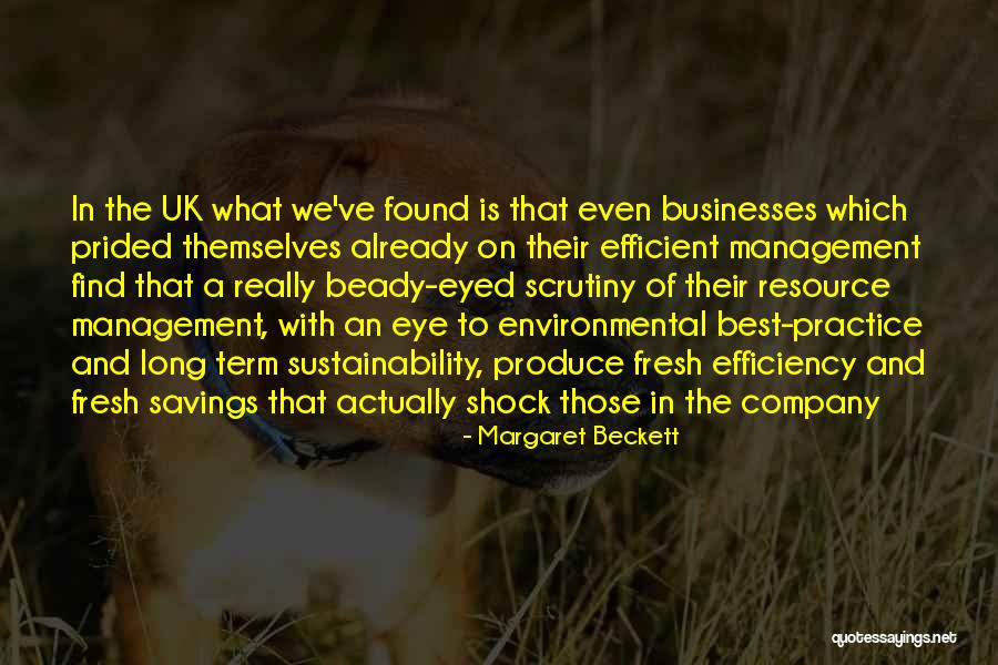 Business Efficiency Quotes By Margaret Beckett Business Efficiency Quotes By Margaret Beckett