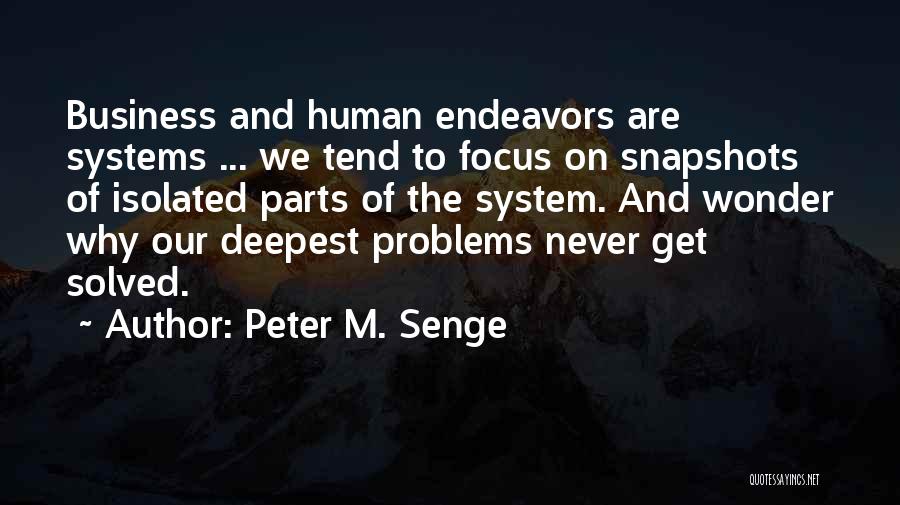 Business Endeavors Quotes By Peter M. Senge